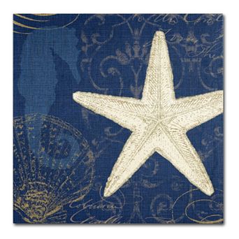 Trademark Fine Art "Coastal Moonlight I" Canvas Wall Art