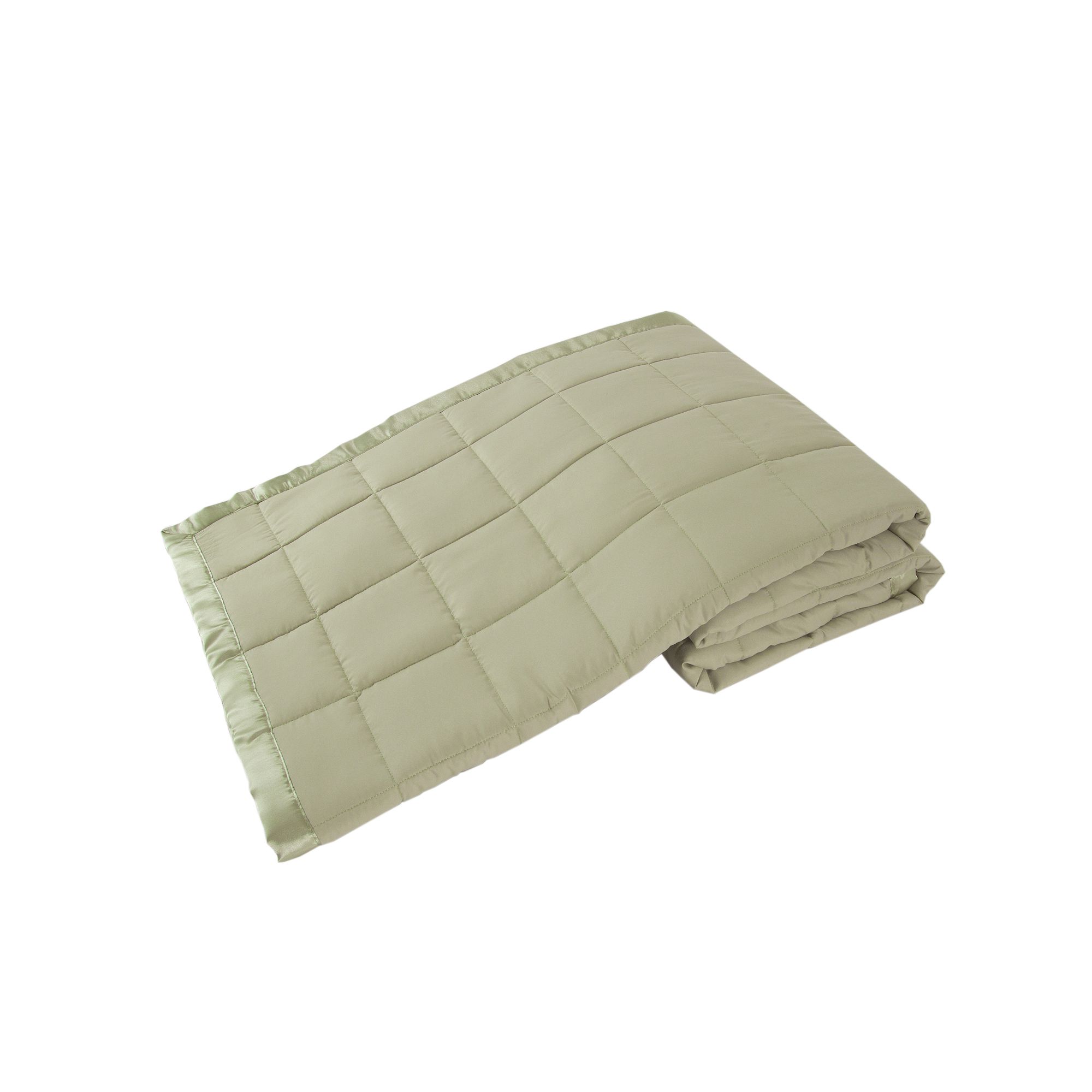 Grand Collection Down-Alternative Solid Blanket, Green