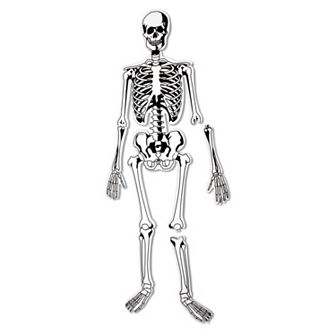 Skeleton Floor Puzzle by Learning Resources