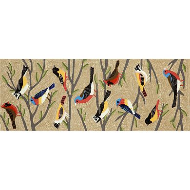 Liora Manne Frontporch Birds Indoor Outdoor Rug