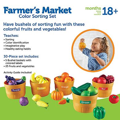 Learning Resources Farmer's Market Color Sorting Set