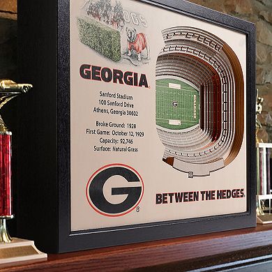 Georgia Bulldogs StadiumViews 3D Wall Art