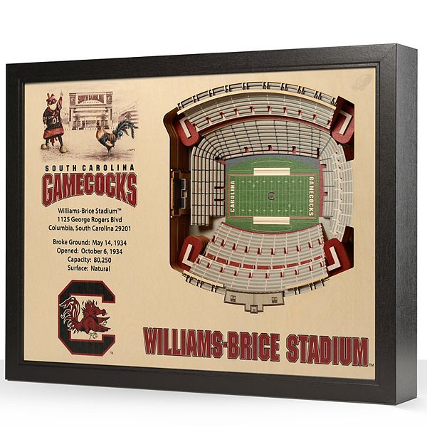 South Carolina Gamecocks StadiumViews 3D Wall Art