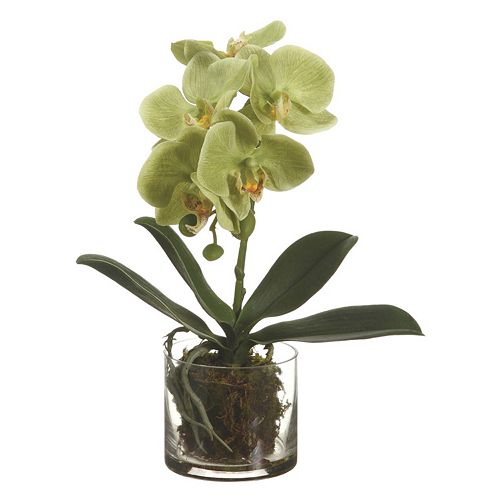 Phalaenopsis 13-inch Artificial Flower Arrangement