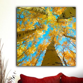 ''Aspen Up'' Canvas Wall Art