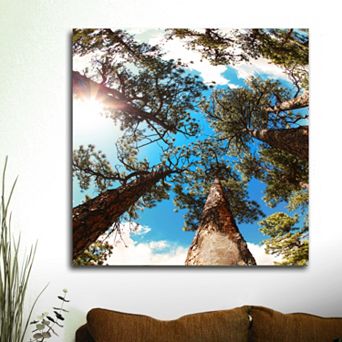 ''Through The Pines'' Canvas Wall Art