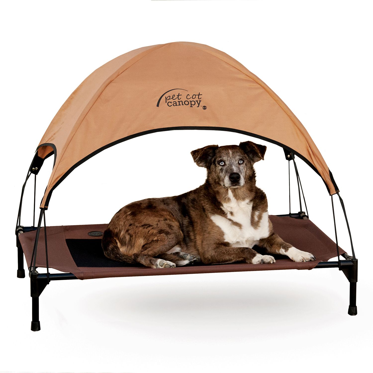 k&h dog cot