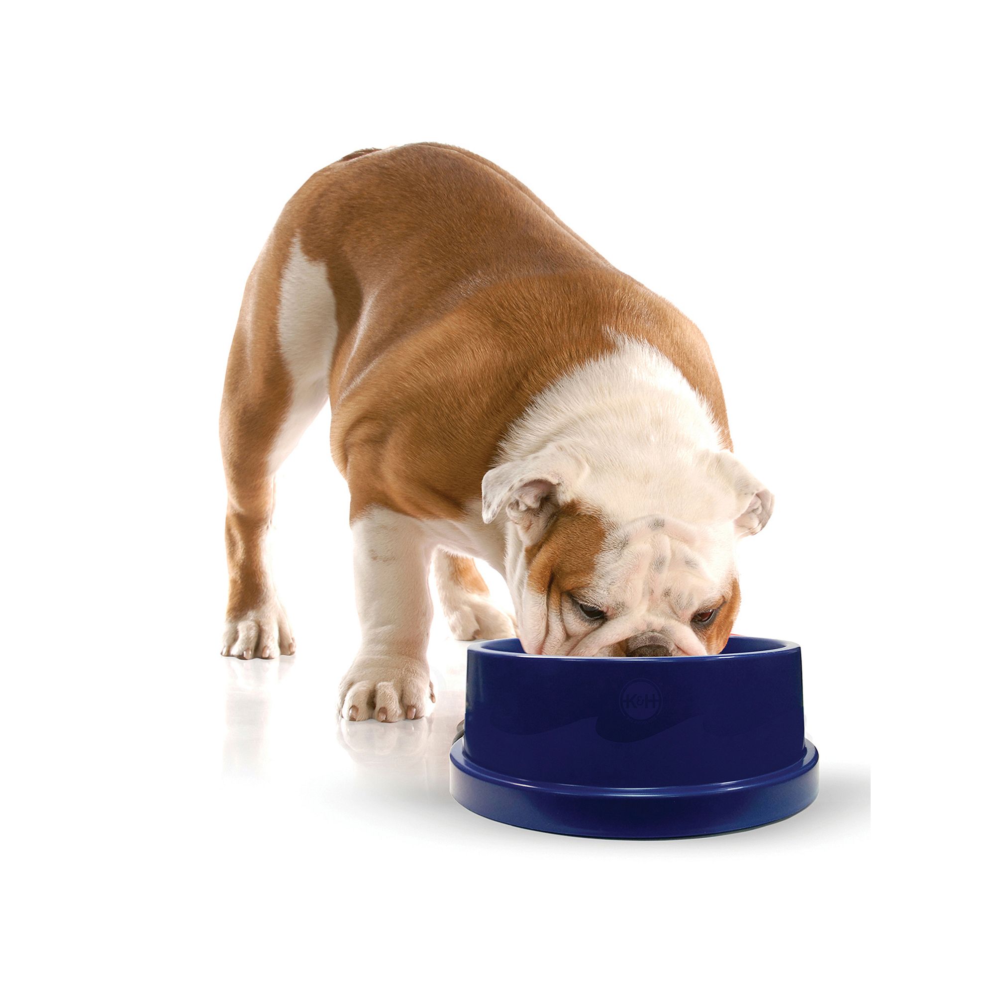 K&H Coolin 3-Quart Pet Water Bowl, Blue