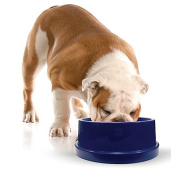 K&H Coolin' 3-qt Pet Water Bowl
