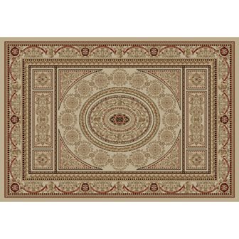 Merinos Aubusson Medallion Framed Rug