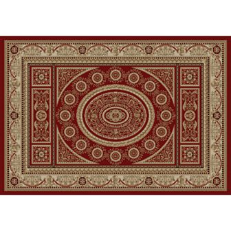 Merinos Aubusson Medallion Framed Rug