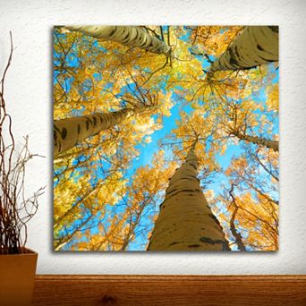 ''Aspen Up'' Wall Art