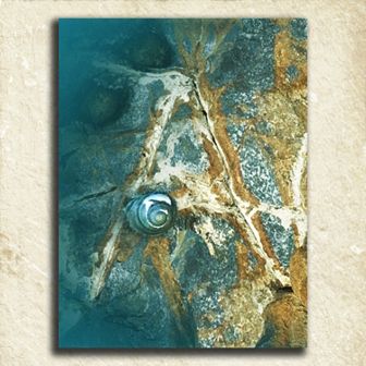 ''Coastal Alphabet'' Wall Art
