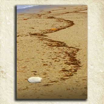 ''Coastal Alphabet'' Wall Art