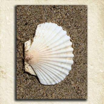 ''Coastal Alphabet'' Wall Art