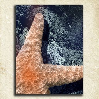 ''Coastal Alphabet'' Wall Art