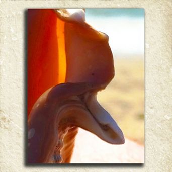 ''Coastal Alphabet'' Wall Art