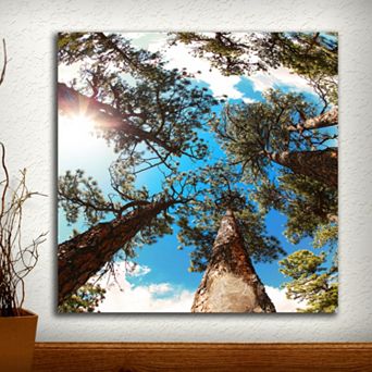 ''Through the Pines'' Wall Art