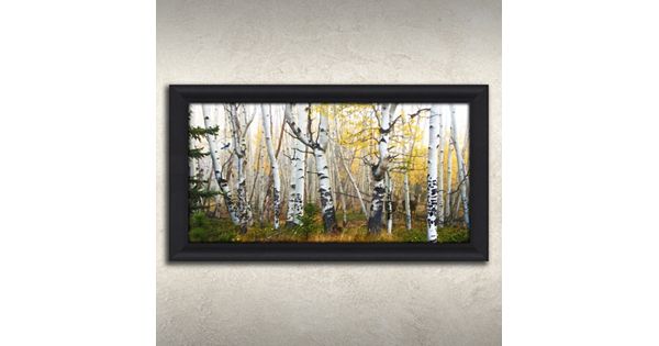 ''misty Morning Whitetails'' Framed Canvas Wall Art