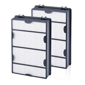 Holmes 2-piece True HEPA Filtration with Enhanced Mold Fighting Power Filter Set
