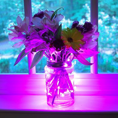 LumaBase Luminas 3-pk. Waterproof Battery Operated Mini LED String Lights