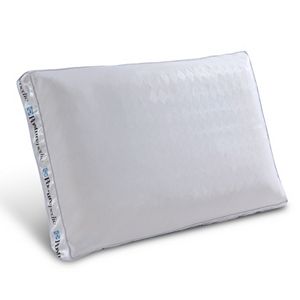 Sealy Posturepedic Molded Memory Foam Pillow - Standard