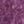 Purple Ivory