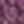 Purple Ivory