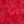 Red Ivory