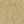 Beige Gold