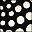 Black Ivory