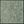 Gray Ivory