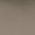 Dark Slate Gray Beige