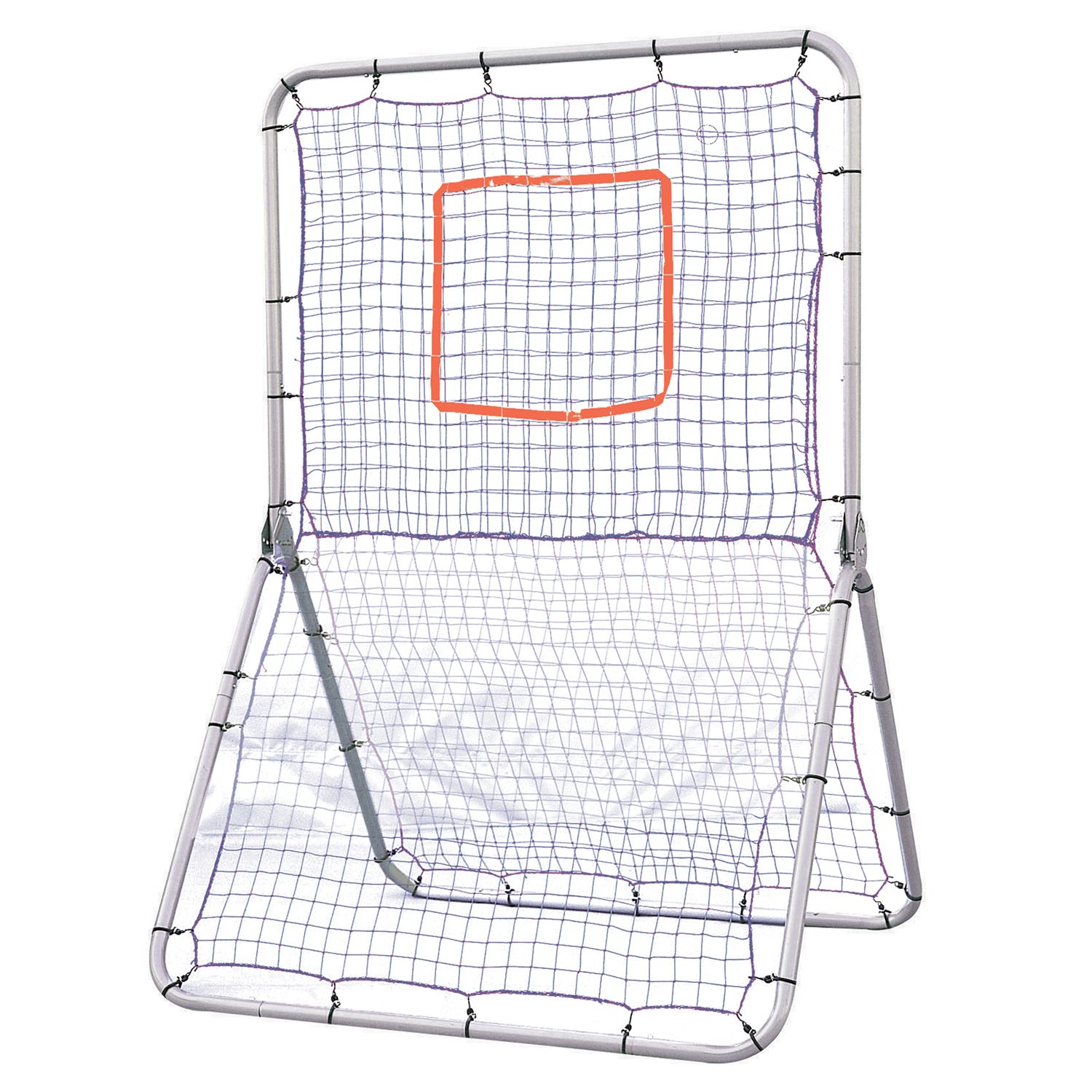 champion sports net