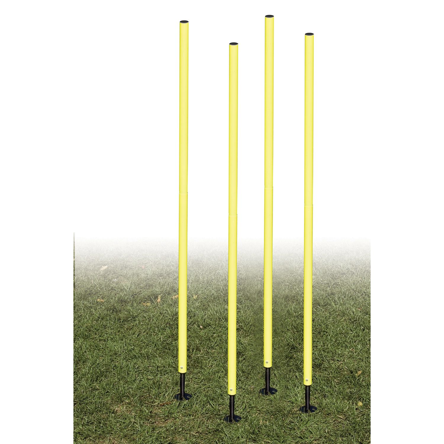 agility pole set
