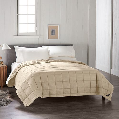 Cuddl Duds Down Alternative Blanket