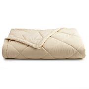 Cuddl Duds Down-Alternative Blanket