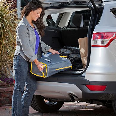 Coleman Folding Outdoor Camp Wagon