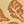 Natural Terracotta