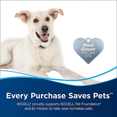 BISSELL PowerFresh Lift-Off Pet Steam Mop