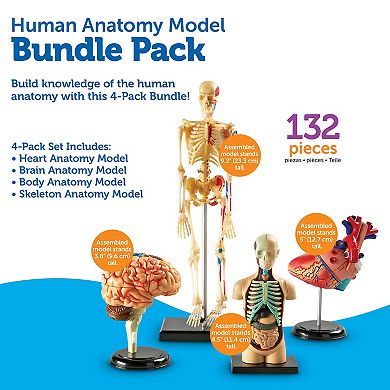 Learning Resources Human Anatomy Models Set