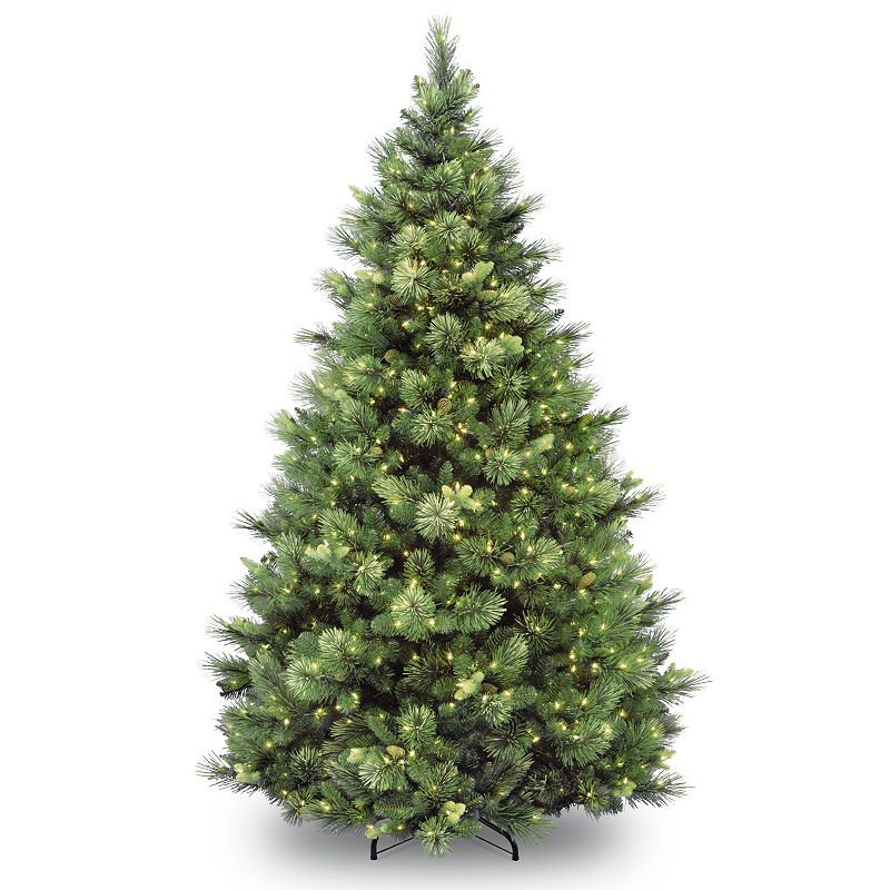 National Tree Company Pre-Lit Artificial Christmas Tree  Green  Carolina Pine  Clear Lights  Includes Stand  7.5 feet