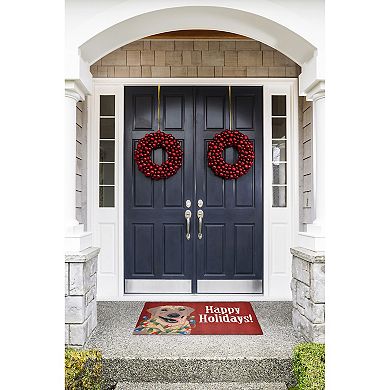 Liora Manne Frontporch Happy Holidays Indoor Outdoor Rug
