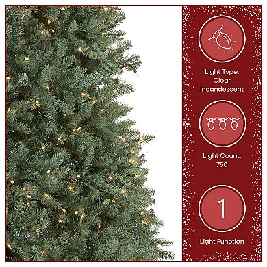National Tree Company 7.5-ft. Pre-Lit Dunhill Blue Fir Artificial Christmas Tree