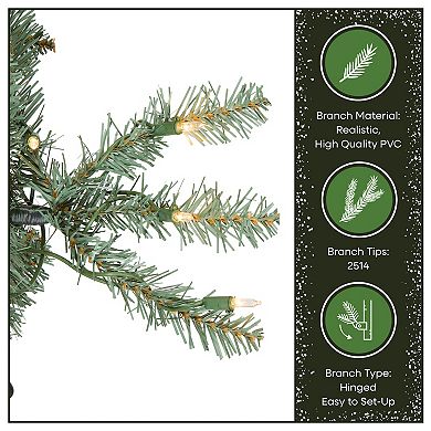 National Tree Company 7.5-ft. Pre-Lit Dunhill Blue Fir Artificial Christmas Tree