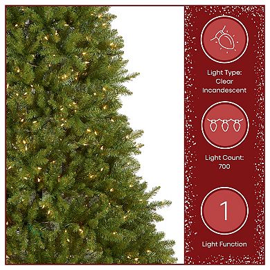 National Tree Company 7-ft. Pre-Lit Dunhill Fir Artificial Christmas Tree