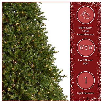 National Tree Company 9-ft. Pre-Lit Dunhill Fir Artificial Christmas Tree