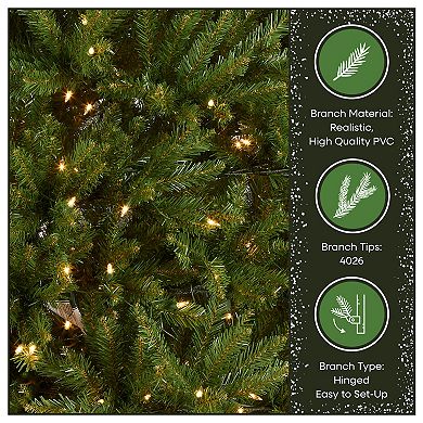 National Tree Company 9-ft. Pre-Lit Dunhill Fir Artificial Christmas Tree
