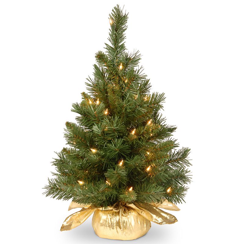 National Tree Company 2ft. Majestic Fir Tree  Gold Base with Clear Lights