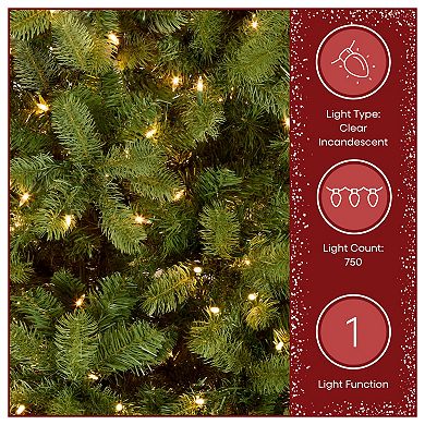 National Tree Company 7.5-ft. Pre-Lit ''Feel Real'' Downswept Douglas Fir Artificial Christmas Tree